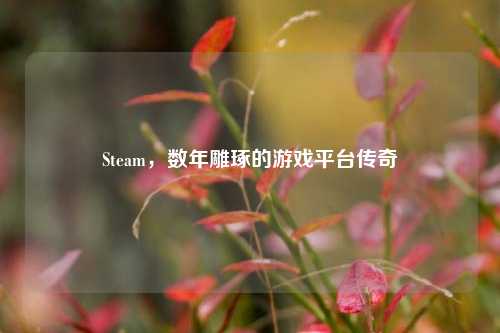 Steam，数年雕琢的游戏平台传奇