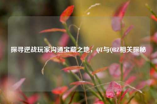 探寻逆战玩家沟通宝藏之地,QT与QBZ相关探秘
