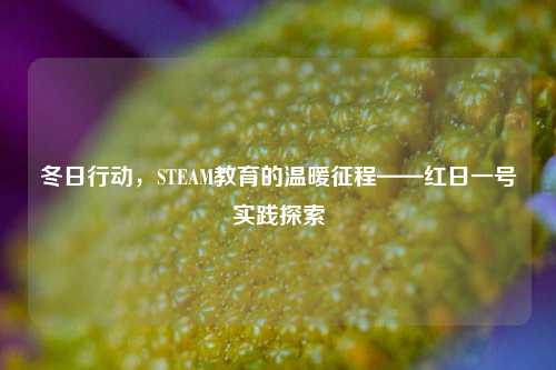 冬日行动，STEAM教育的温暖征程——红日一号实践探索
