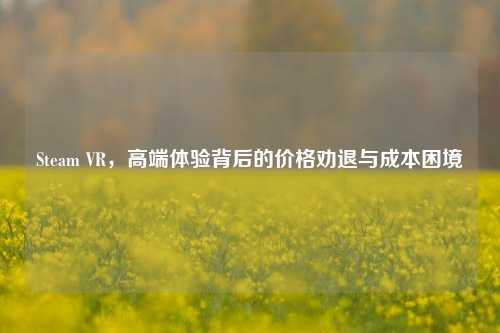 Steam VR，高端体验背后的价格劝退与成本困境