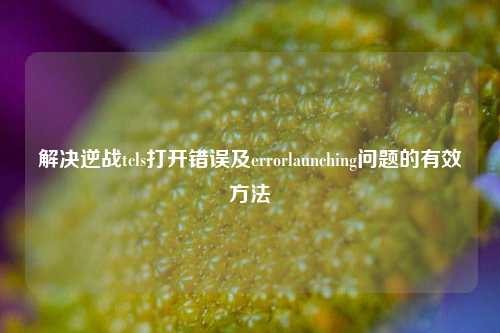 解决逆战tcls打开错误及errorlaunching问题的有效方法