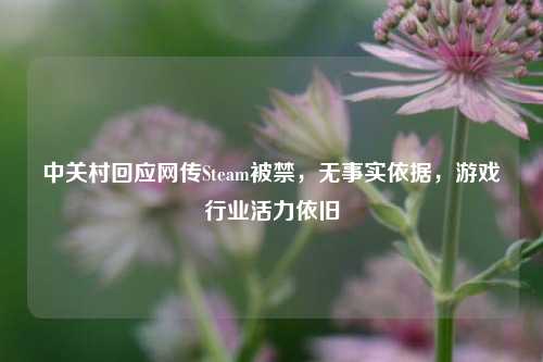 中关村回应网传Steam被禁，无事实依据，游戏行业活力依旧