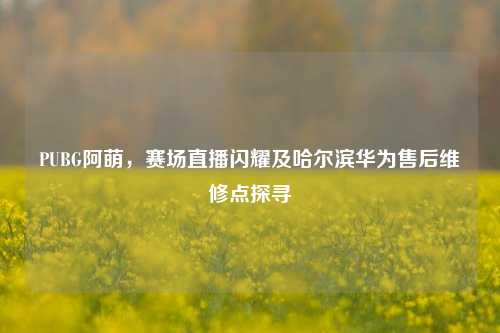 PUBG阿萌，赛场直播闪耀及哈尔滨华为售后维修点探寻