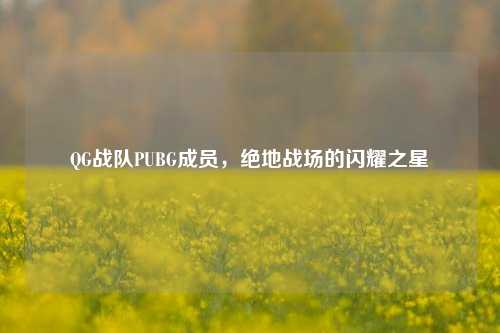 QG战队PUBG成员，绝地战场的闪耀之星