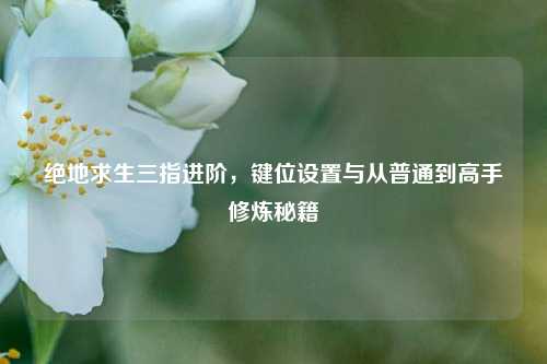 绝地求生三指进阶,键位设置与从普通到高手修炼秘籍