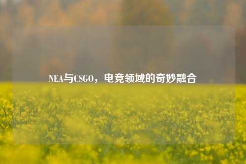 NEA与CSGO，电竞领域的奇妙融合