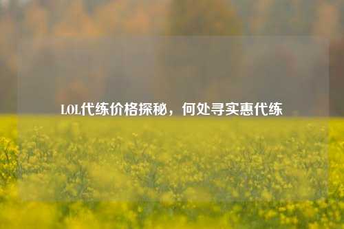 LOL代练价格探秘，何处寻实惠代练