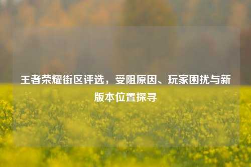 王者荣耀街区评选,受阻原因、玩家困扰与新版本位置探寻