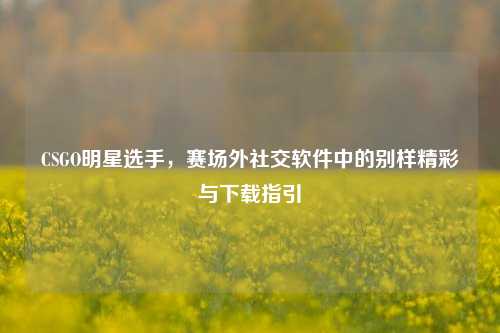 CSGO明星选手,赛场外社交软件中的别样精彩与下载指引