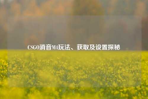 CSGO消音M4玩法、获取及设置探秘
