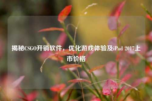 揭秘CSGO开销软件，优化游戏体验及iPad 2017上市价格