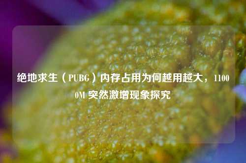 绝地求生(PUBG)内存占用为何越用越大,11000M 突然激增现象探究