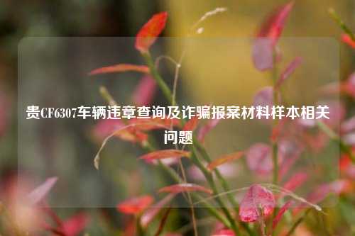 贵CF6307车辆违章查询及诈骗报案材料样本相关问题