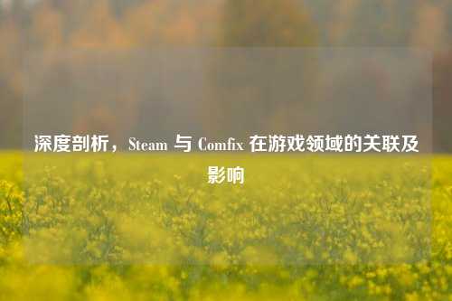 深度剖析,Steam 与 Comfix 在游戏领域的关联及影响