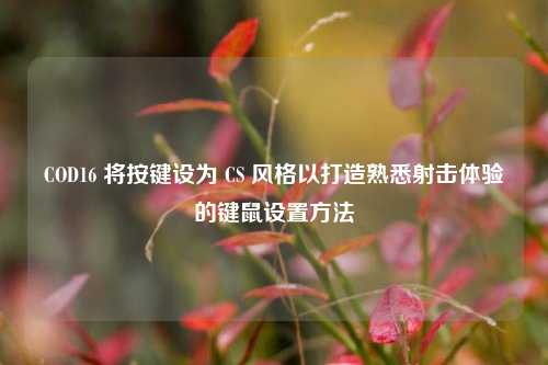 COD16 将按键设为 CS 风格以打造熟悉射击体验的键鼠设置方法