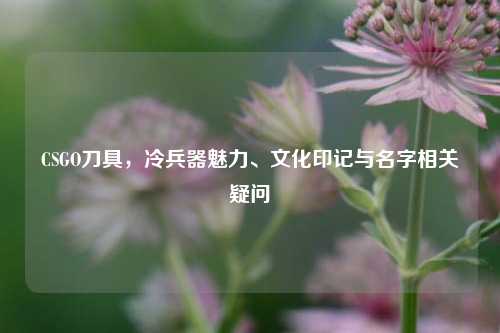 CSGO刀具，冷兵器魅力、文化印记与名字相关疑问