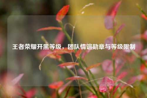 王者荣耀开黑等级,团队情谊勋章与等级限制
