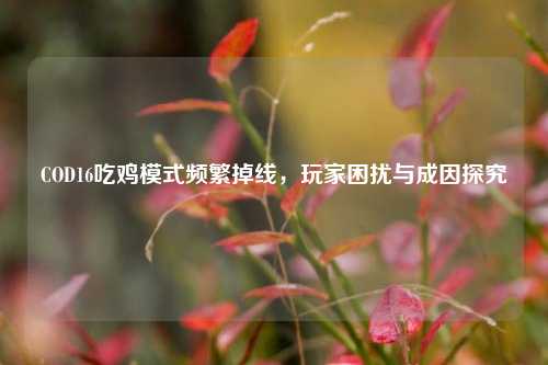 COD16吃鸡模式频繁掉线，玩家困扰与成因探究