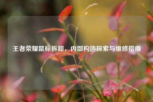 王者荣耀鼠标拆卸,内部构造探索与维修指南