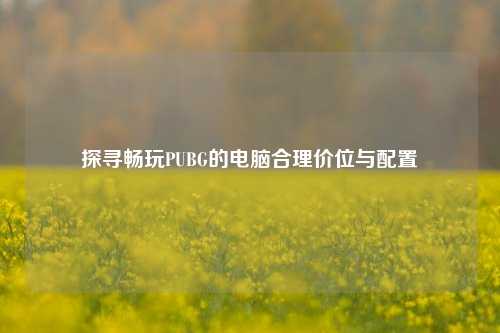 探寻畅玩PUBG的电脑合理价位与配置