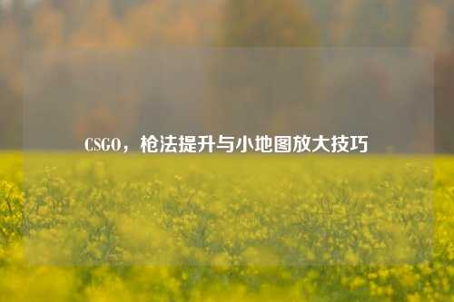 CSGO，枪法提升与小地图放大技巧
