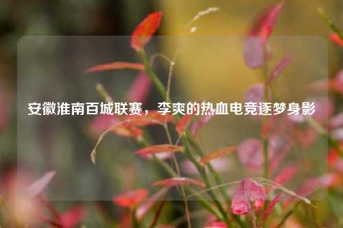 安徽淮南百城联赛，李爽的热血电竞逐梦身影