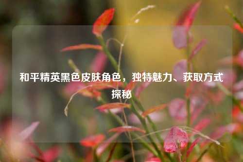 和平精英黑色皮肤角色，独特魅力、获取方式探秘