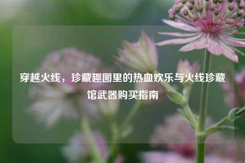 穿越火线,珍藏趣图里的热血欢乐与火线珍藏馆武器购买指南