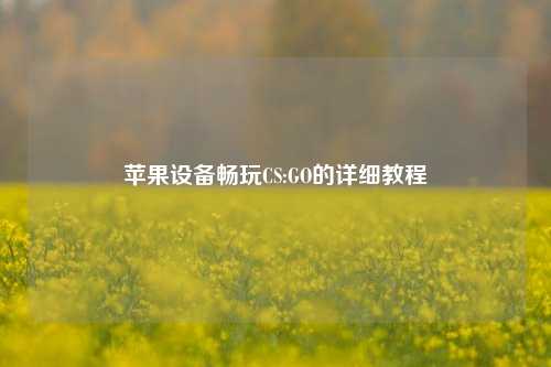 苹果设备畅玩CS:GO的详细教程