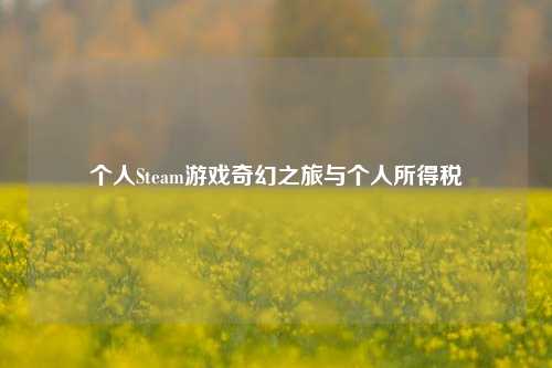 个人Steam游戏奇幻之旅与个人所得税