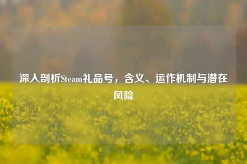 深入剖析Steam礼品号,含义、运作机制与潜在风险
