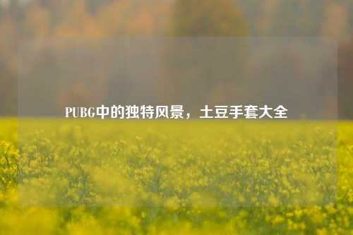 PUBG中的独特风景，土豆手套大全