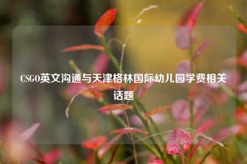 CSGO英文沟通与天津格林国际幼儿园学费相关话题