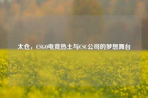 太仓，CSGO电竞热土与CSC公司的梦想舞台