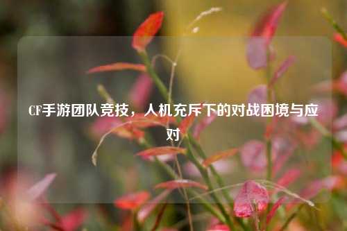 CF手游团队竞技，人机充斥下的对战困境与应对
