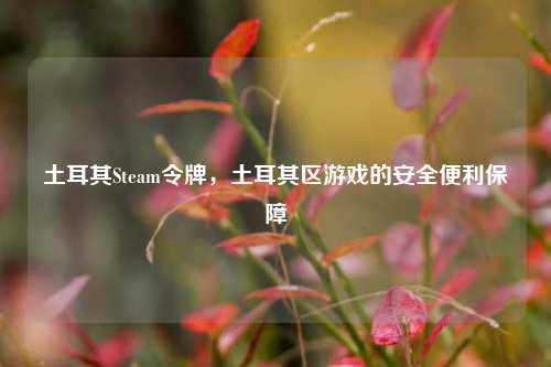 土耳其Steam令牌,土耳其区游戏的安全便利保障