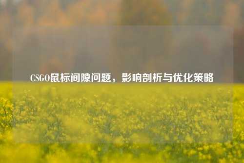 CSGO鼠标间隙问题，影响剖析与优化策略