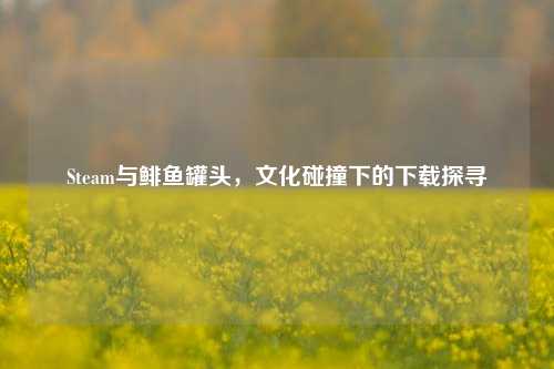 Steam与鲱鱼罐头，文化碰撞下的下载探寻
