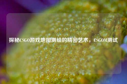 探秘CSGO游戏地图测绘的精密艺术，CSGOM测试