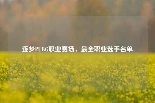 逐梦PUBG职业赛场，最全职业选手名单