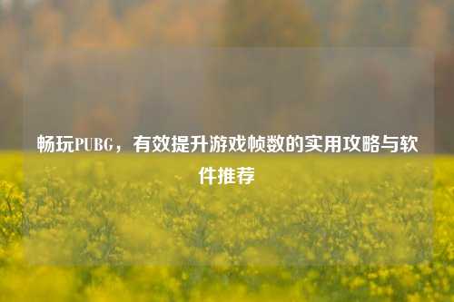 畅玩PUBG，有效提升游戏帧数的实用攻略与软件推荐