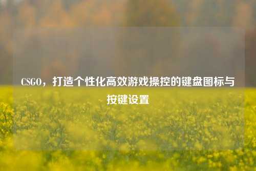 CSGO，打造个性化高效游戏操控的键盘图标与按键设置