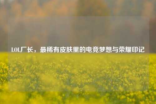 LOL厂长,最稀有皮肤里的电竞梦想与荣耀印记