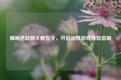 揭秘逆战聊天框指令,开启别样游戏体验指南