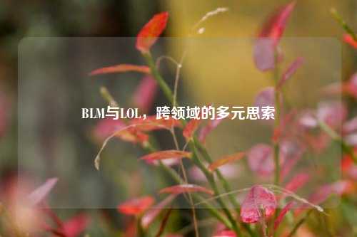 BLM与LOL，跨领域的多元思索
