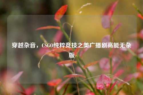 穿越杂音,CSGO纯粹竞技之美广播剧高能无杂版
