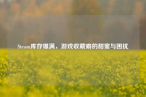 Steam库存爆满,游戏收藏癖的甜蜜与困扰