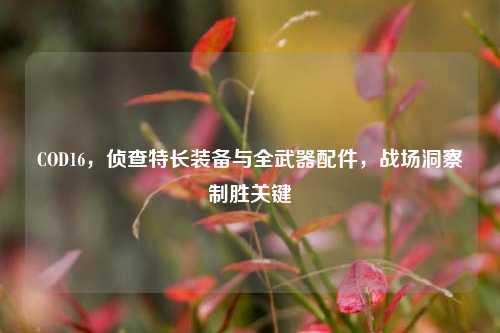 COD16，侦查特长装备与全武器配件，战场洞察制胜关键