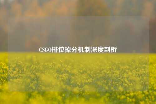 CSGO排位掉分机制深度剖析