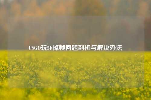 CSGO玩5E掉帧问题剖析与解决办法